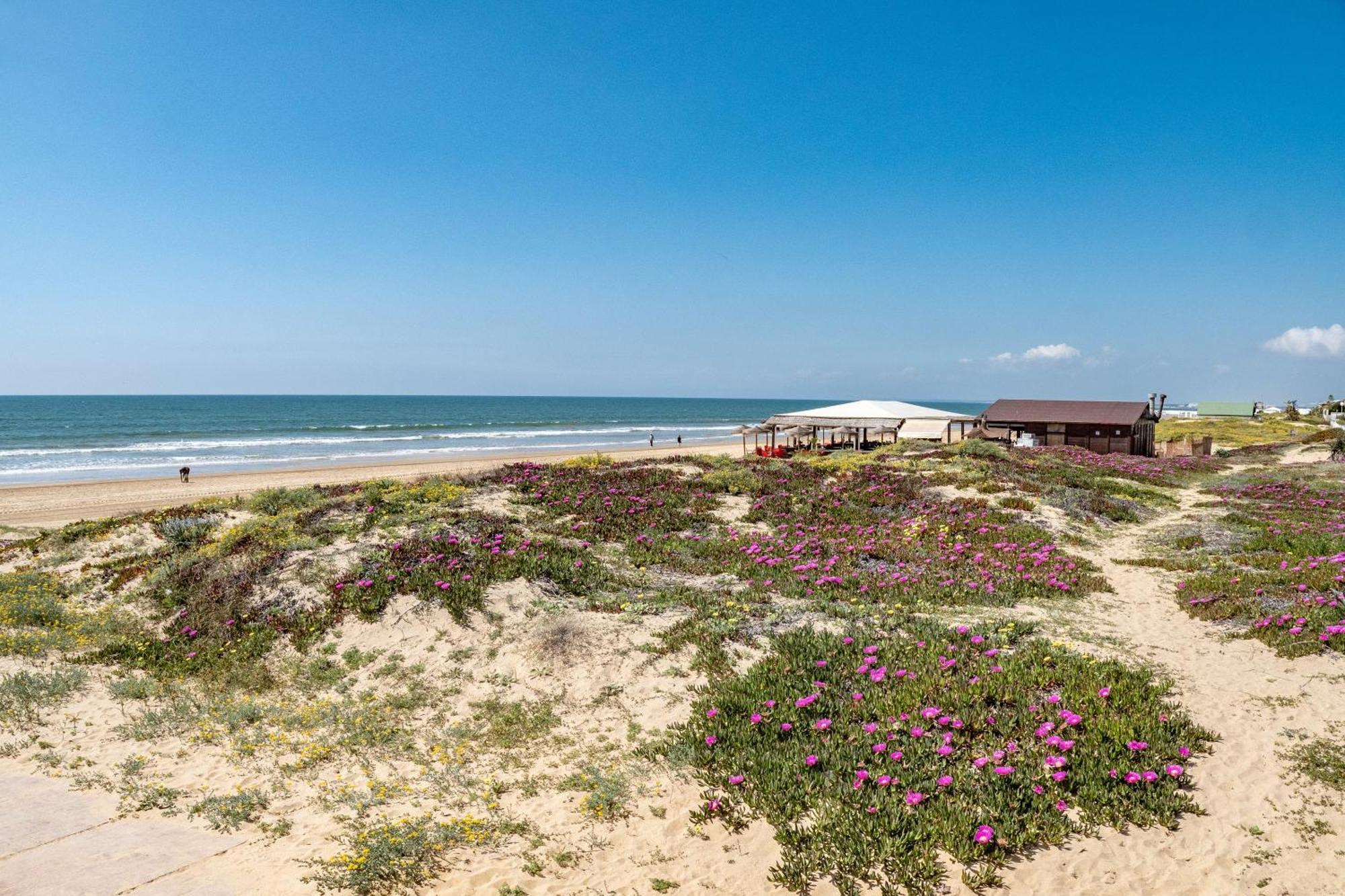 Precioso Chalet A Pie De Playa 푼타움브리아 외부 사진